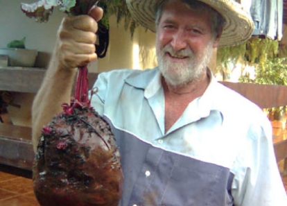Funcionário da Chácara Boa Esperança mostra beterraba de 4,2 kg
